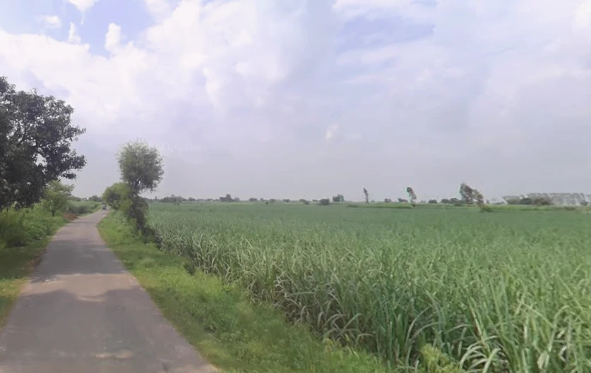 Budhana, Uttar Pradesh 251309, India