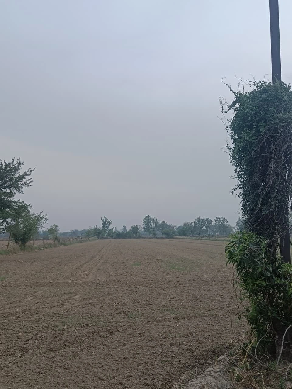 Fatehgarh, Haryana 126101, India