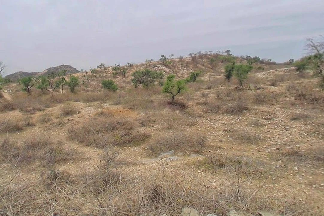 VRHR+6Q Bhansol, Rajasthan, India