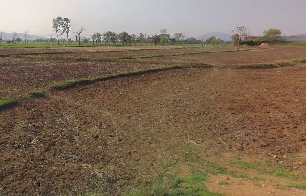 Bhatgaon, Chhattisgarh 491444, India preview 2