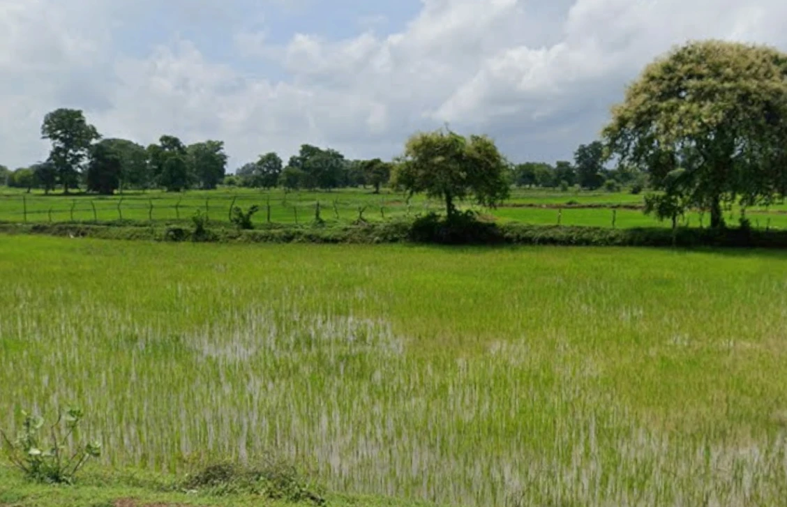 Boria Kal, Chhattisgarh 492015, India