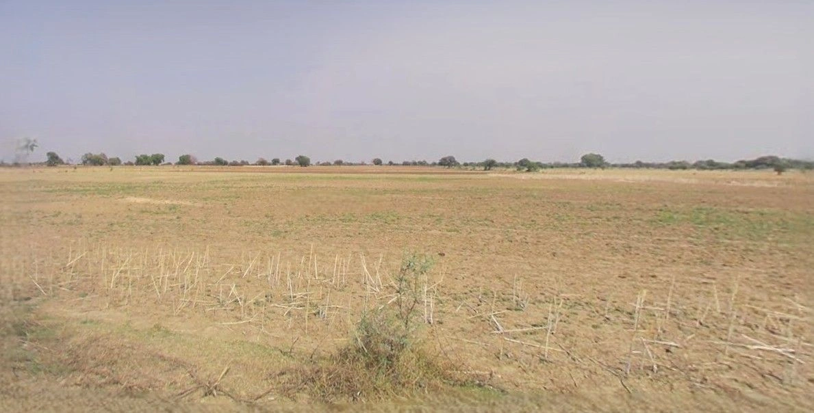 Sewla Kalan, Majra, Dehradun, Uttarakhand 248171, India