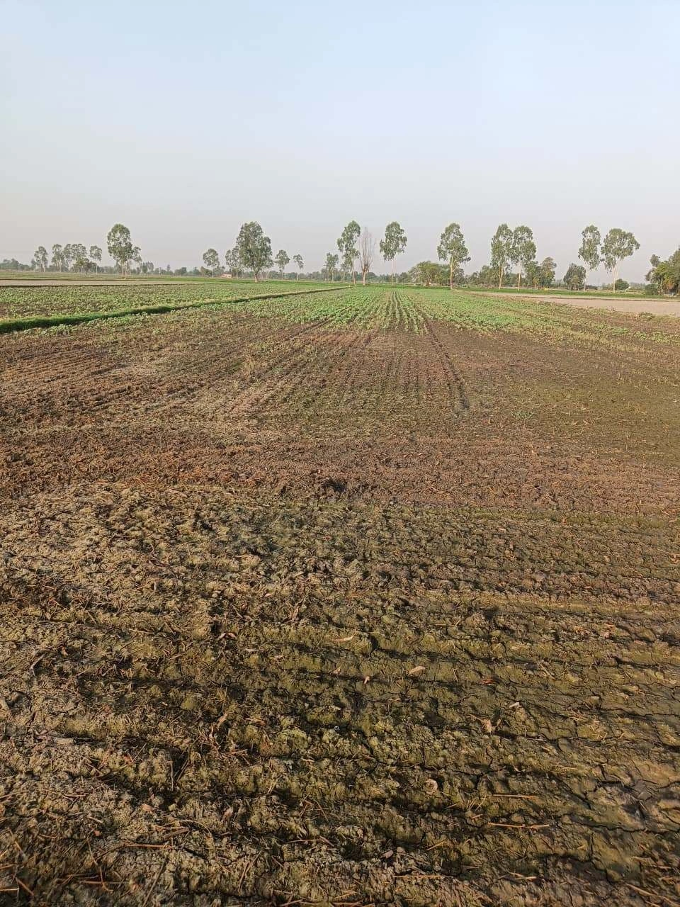 Tentigaon, Uttar Pradesh, India preview 2