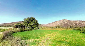 VPO, HJHV+8G2, TEH, Ranjeet Nagar, Daudpur, Tulera, Alwar, Rajasthan 301001, India preview 2