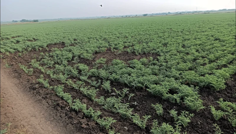 Hiriyur, Karnataka, India preview 2