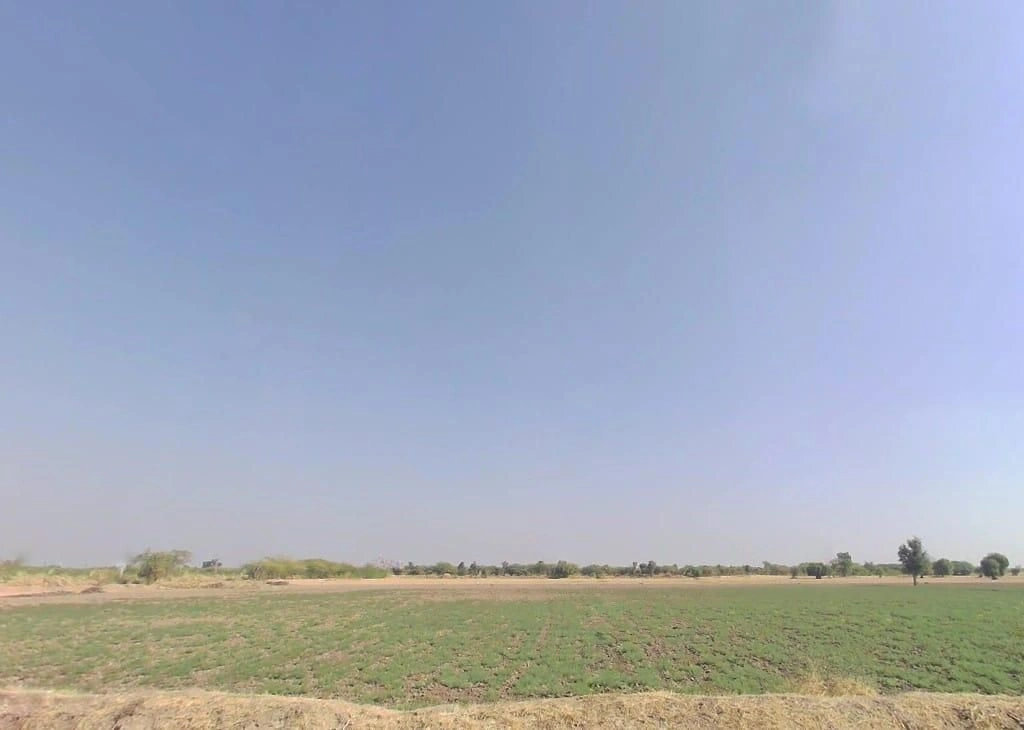 V5WM+QPQ, Bandai Rd, Bandai, Rajasthan 306421, India