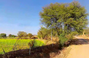 7XFG+554, Lakher, Rajasthan 303104, India preview 3