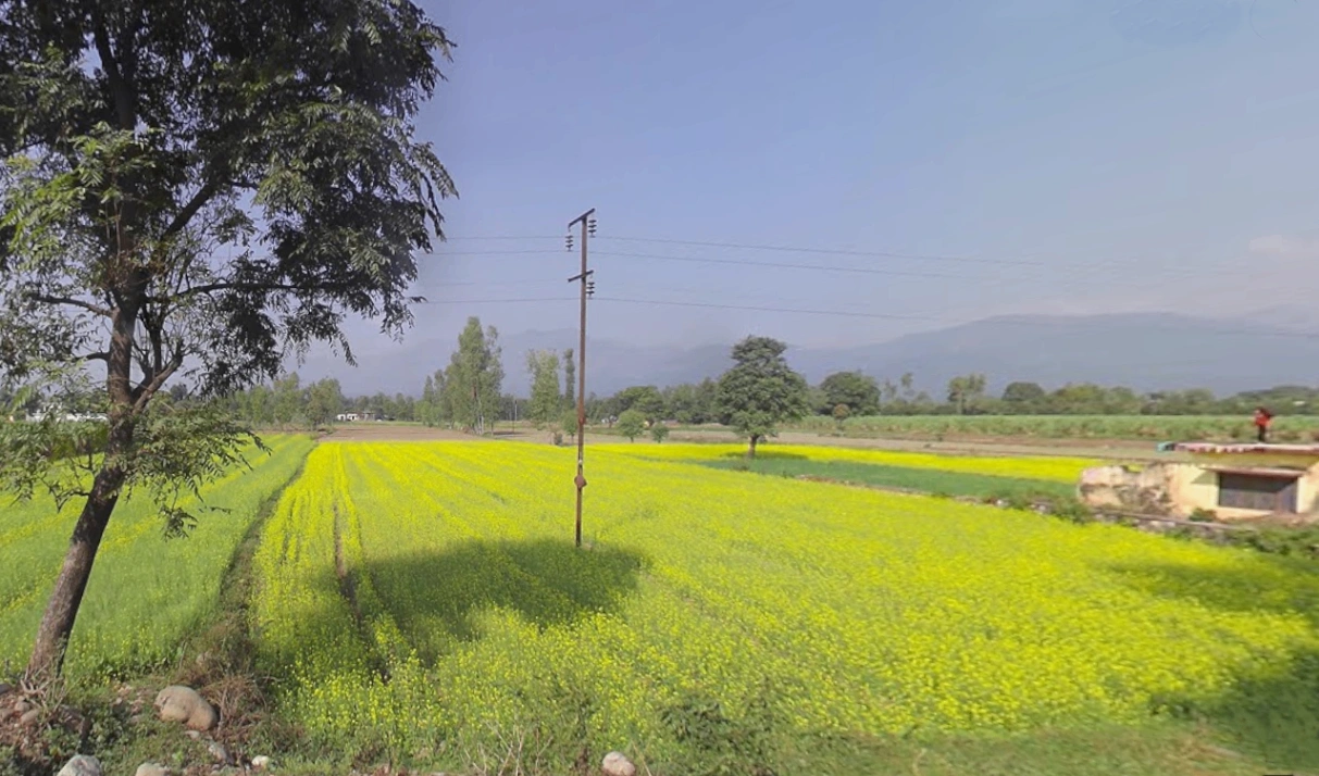 Nathuawala, Dehradun, Uttarakhand, India