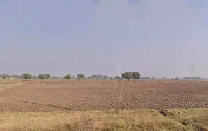 Suwasan, Rajasthan, India preview 3