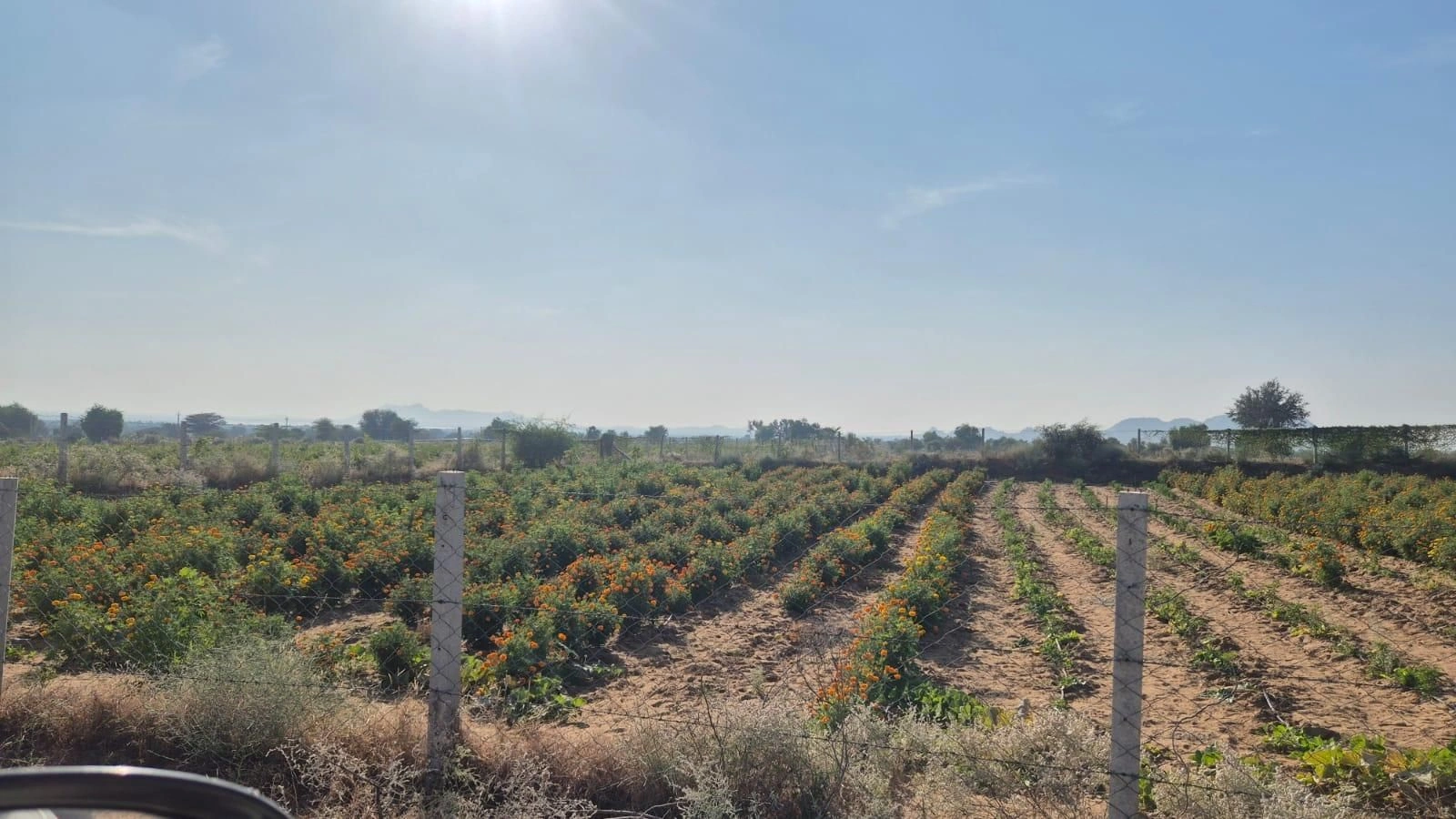 HRPM+2Q5, Jalore, Thoomba Ka Goliya, Rajasthan 307029, India