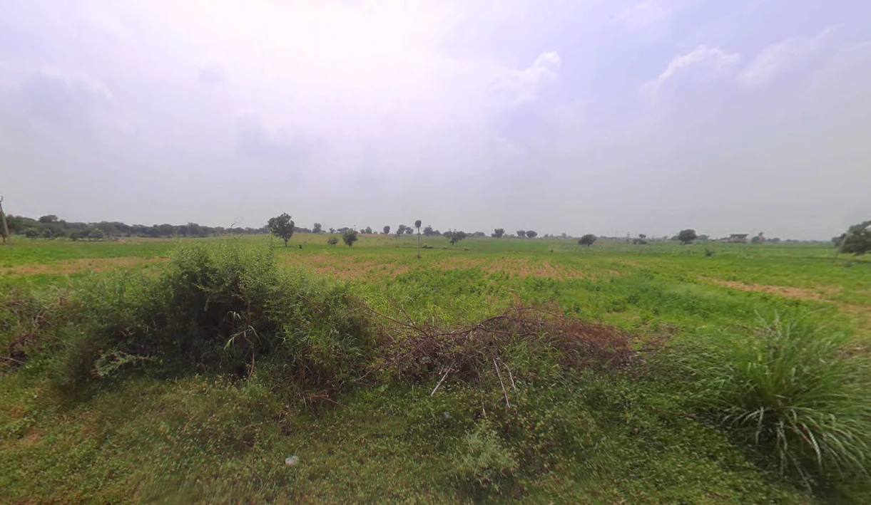 Talwandi Rukka, Haryana 125005, India