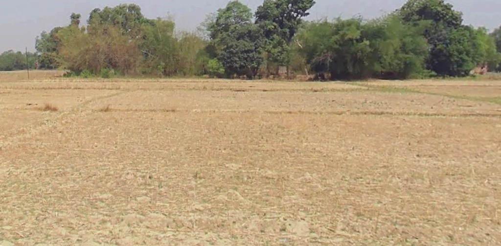 Chak Jiyajipur, Madhya Pradesh, India