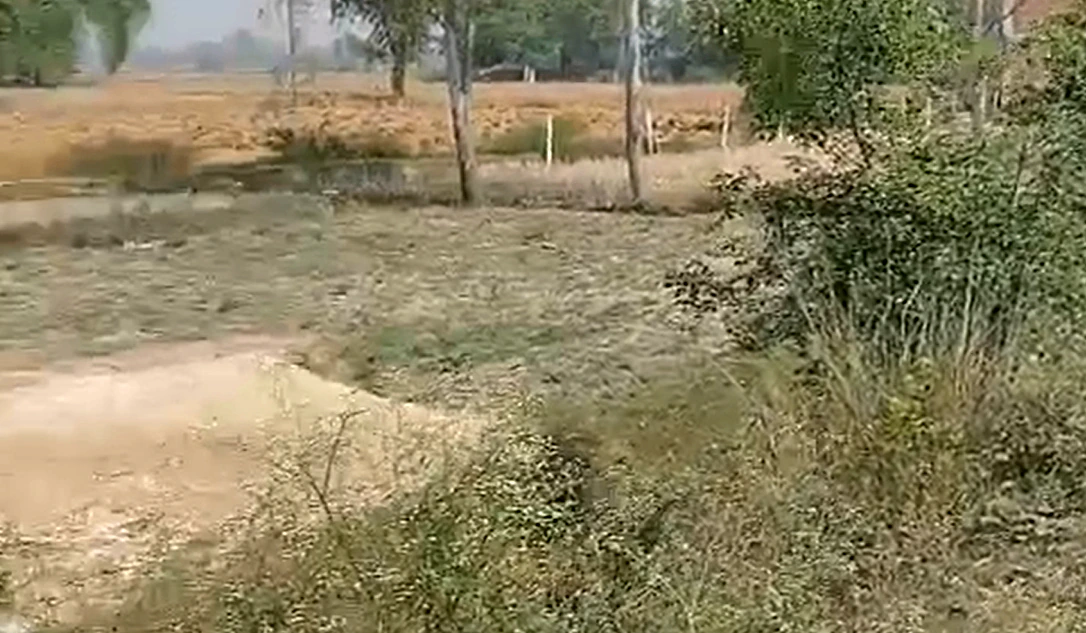 Aneya Khargapur, Lucknow, Uttar Pradesh 226303, India