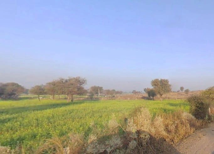 Mokhampura, Rajasthan 303604, India