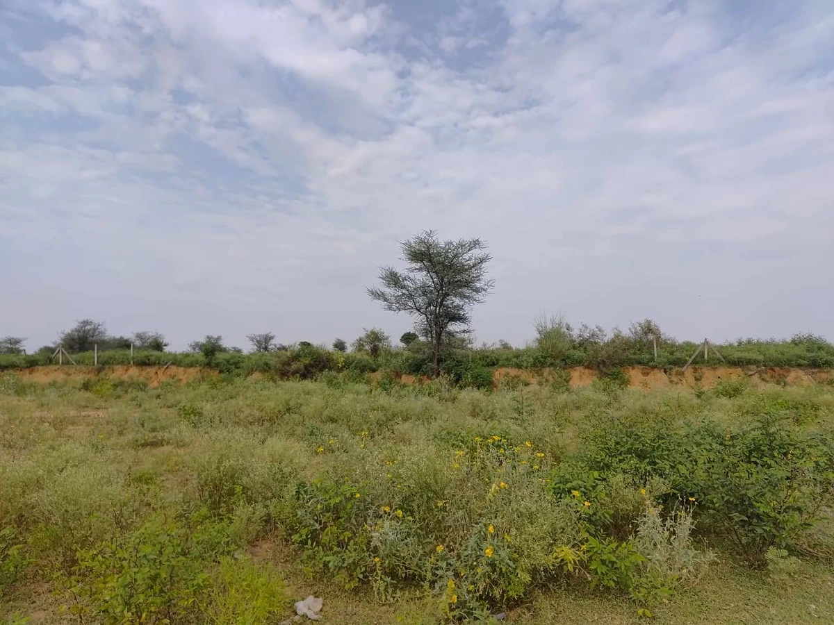 Bandhwari Rd, Balola, New Delhi, Bandhwari, Haryana 122101, India