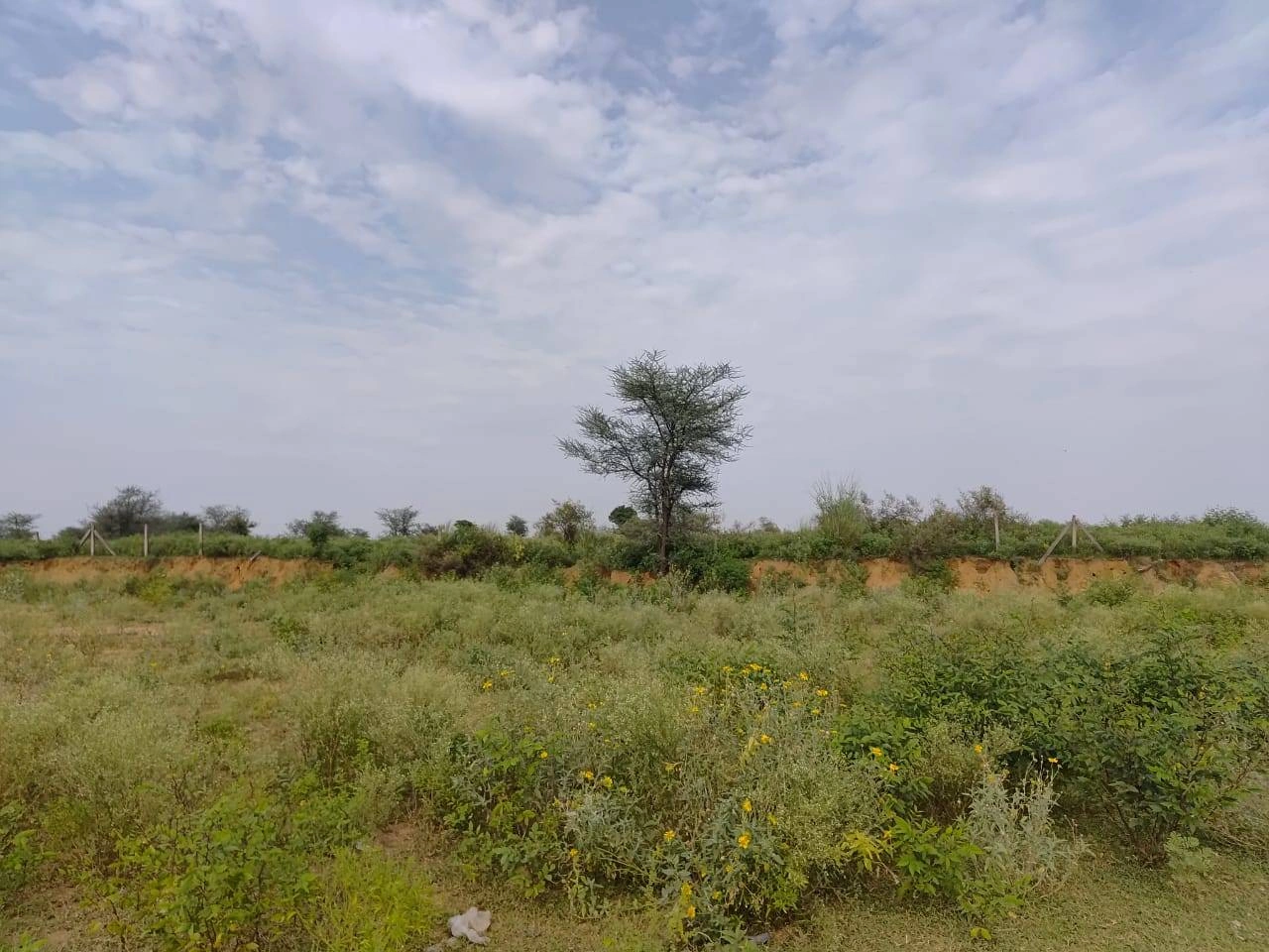 Bandhwari Rd, Balola, New Delhi, Bandhwari, Haryana 122101, India