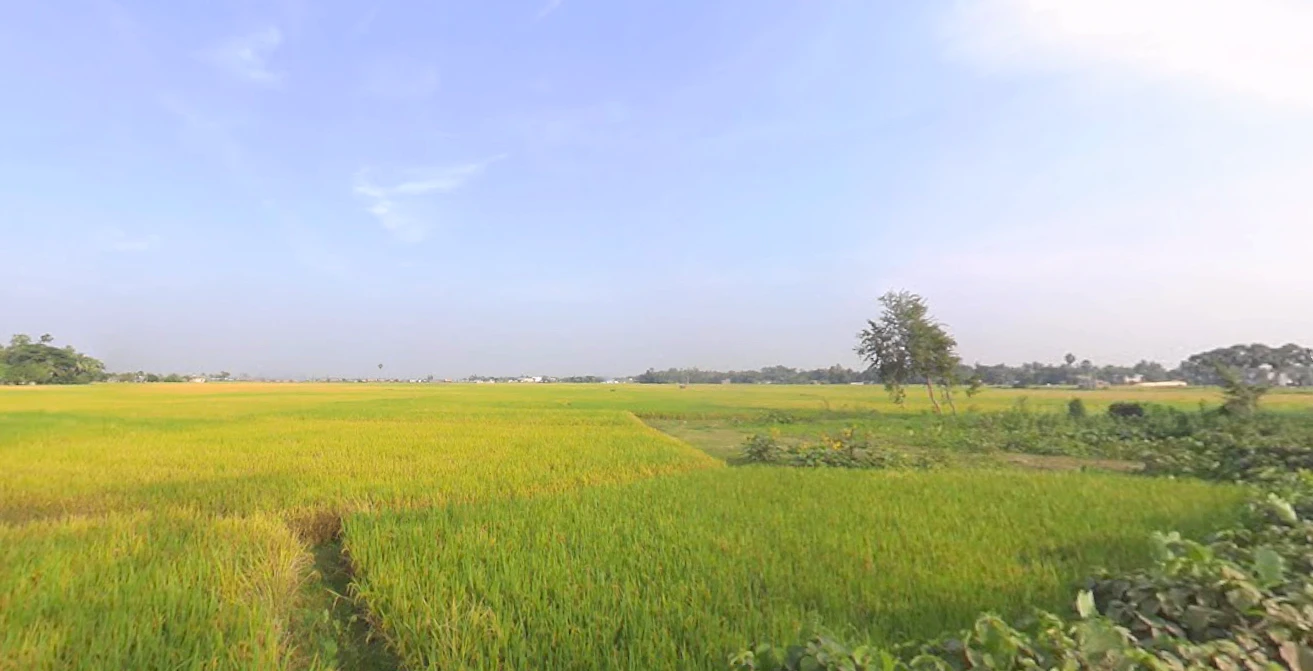 B.R.S. Colony, VCMJ+5H3, Naihati Urban, Bijaynagar, Naihati, Kolkata, West Bengal 743165, India