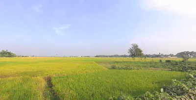 B.R.S. Colony, VCMJ+5H3, Naihati Urban, Bijaynagar, Naihati, Kolkata, West Bengal 743165, India preview 2