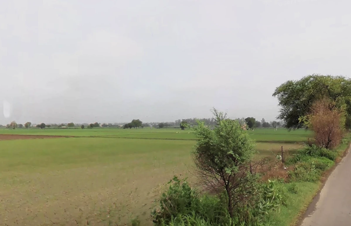 SunderPur, Haryana 126116, India