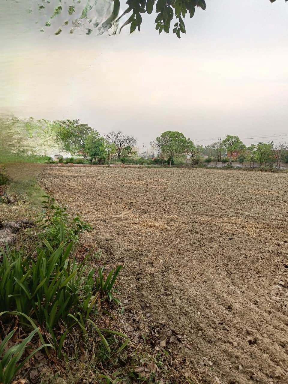 Chandauri, Uttar Pradesh, India
