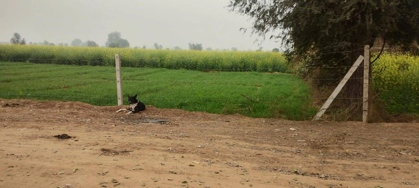 6XV3+HQ4, Nuh, Sector 86, Gurugram, Guddhi, Haryana 122105, India