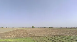 Raghogarh, Madhya Pradesh, India preview 3