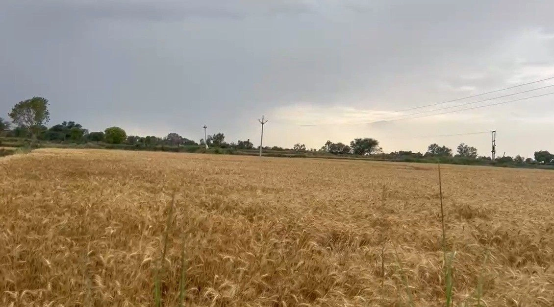 Sheetalpur, Madhya Pradesh 483119, India