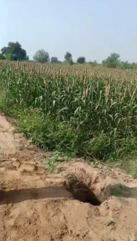 Bekobar, Kodarma, Jharkhand 825409, India