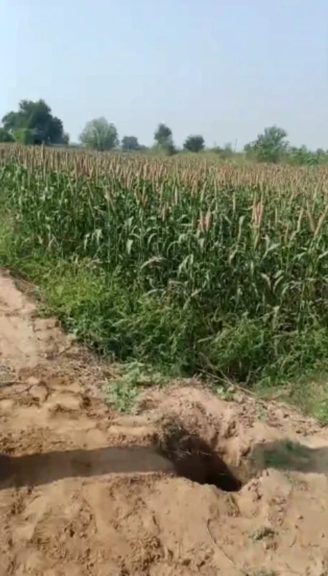 Bekobar, Kodarma, Jharkhand 825409, India - Photo 3