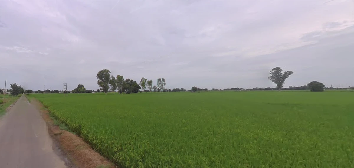 Jagdev Kalan, Punjab 143101, India