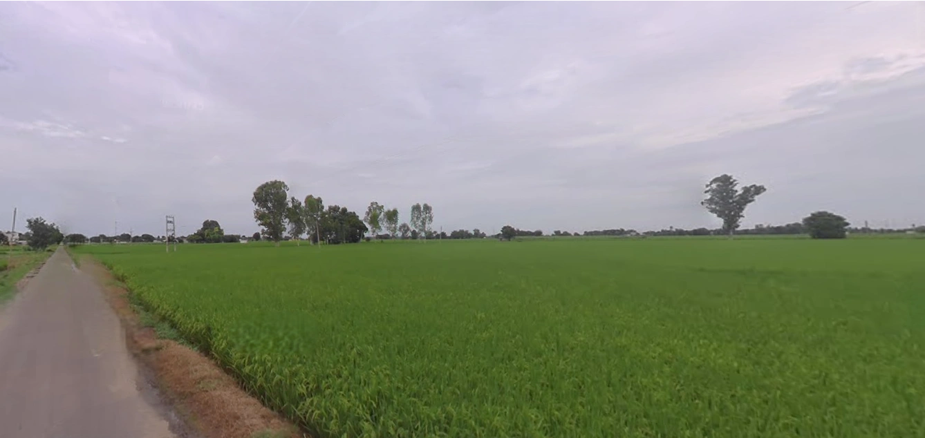 Jagdev Kalan, Punjab 143101, India