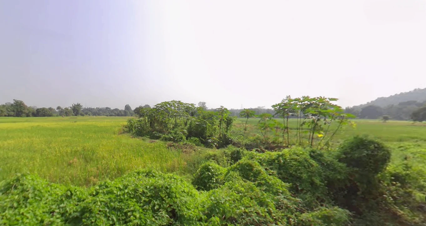 Khandapada, Odisha 752077, India preview 2