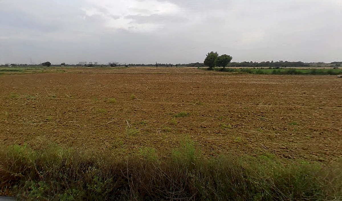 Sector 99, Gurugram, Haryana 122505, India