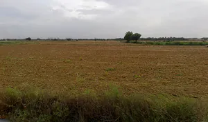 Sector 99, Gurugram, Haryana 122505, India preview 3