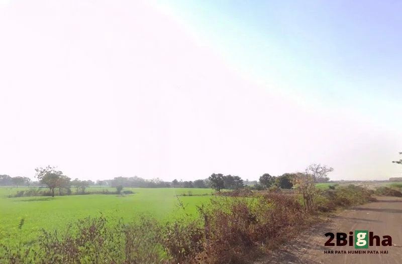 Bhadbhada Rd, Madhya Pradesh, India preview 3