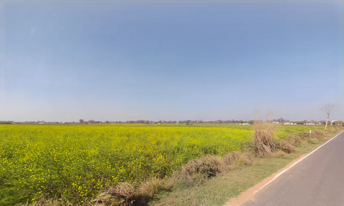 Talao, Haryana 124103, India