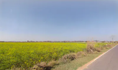 Talao, Haryana 124103, India preview 2