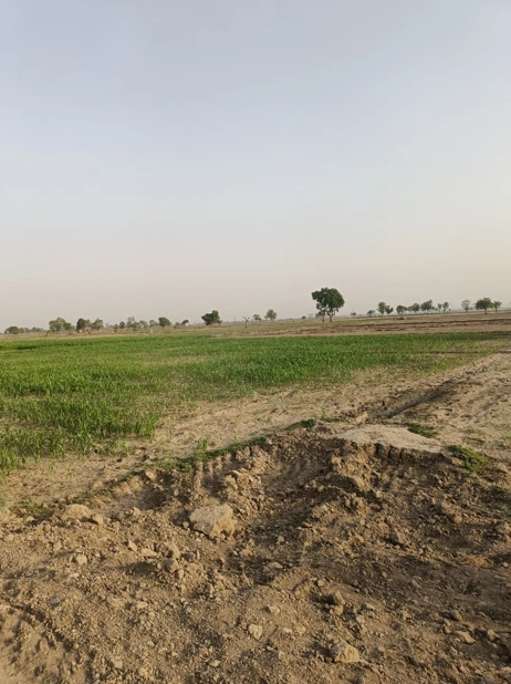Barnagar, Madhya Pradesh 456771, India