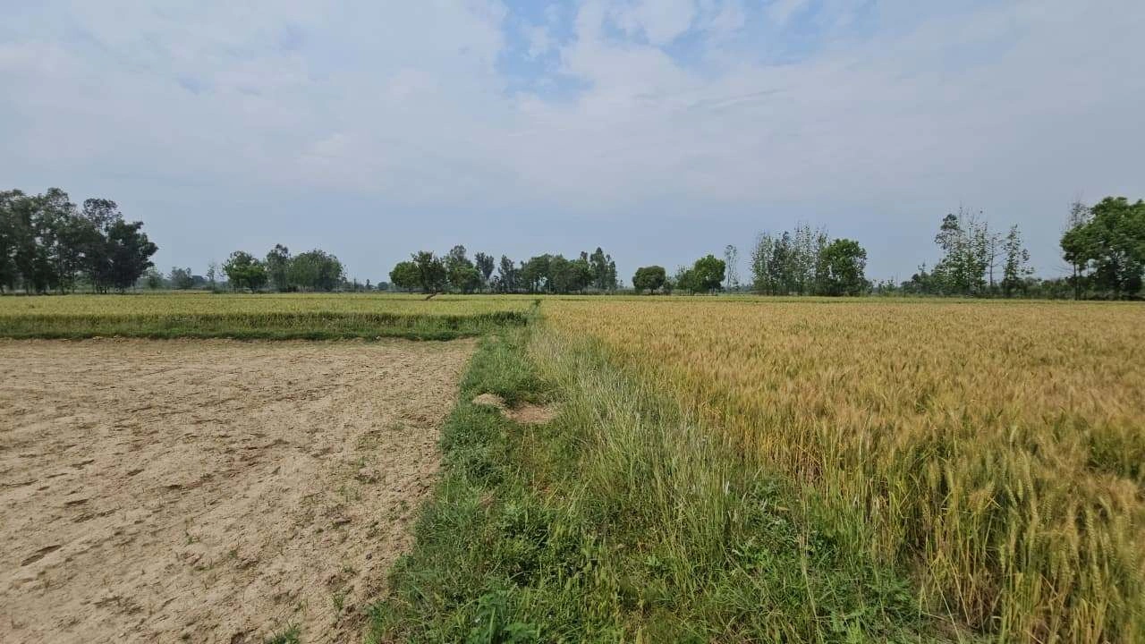 J759+2G5, Bithoor, Uttar Pradesh 209217, India