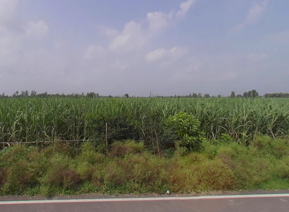 Powayan, Uttar Pradesh 242401, India