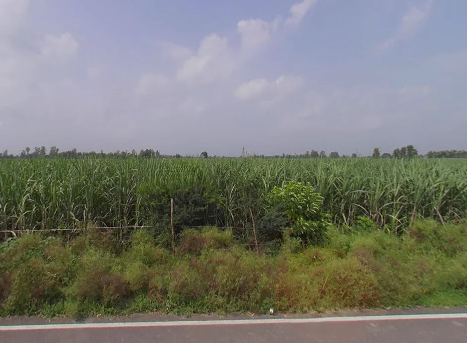 Powayan, Uttar Pradesh 242401, India preview 2