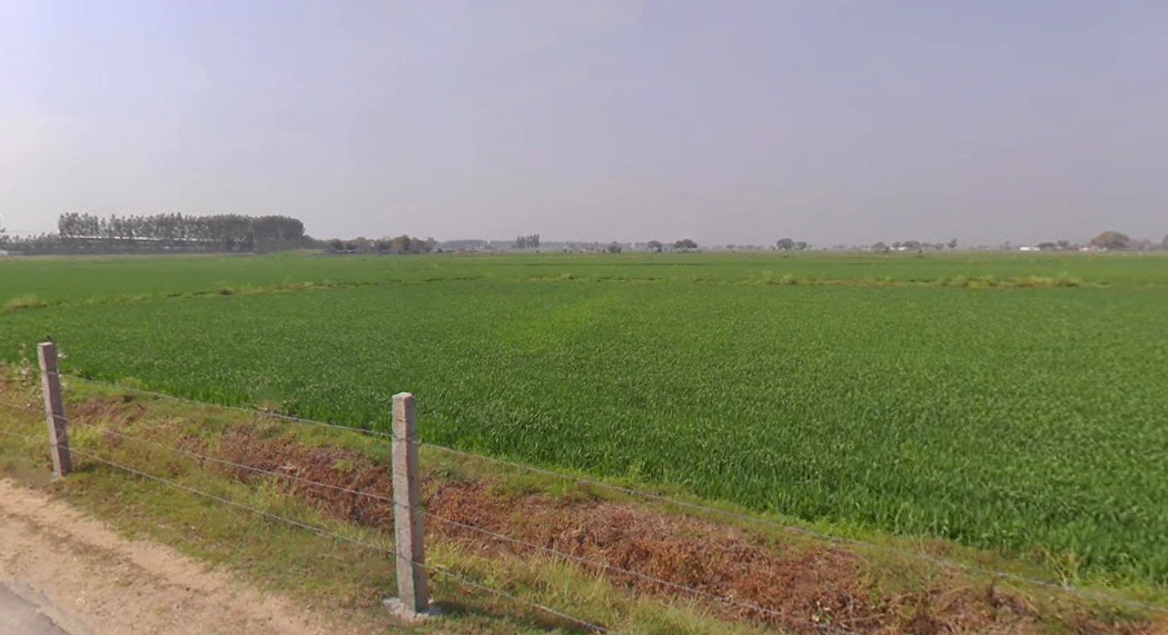 Dabra, Madhya Pradesh 475110, India