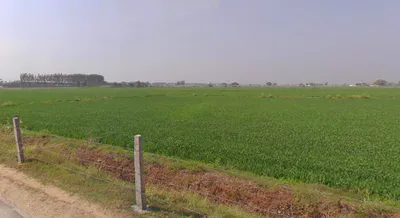 Dabra, Madhya Pradesh 475110, India preview 3