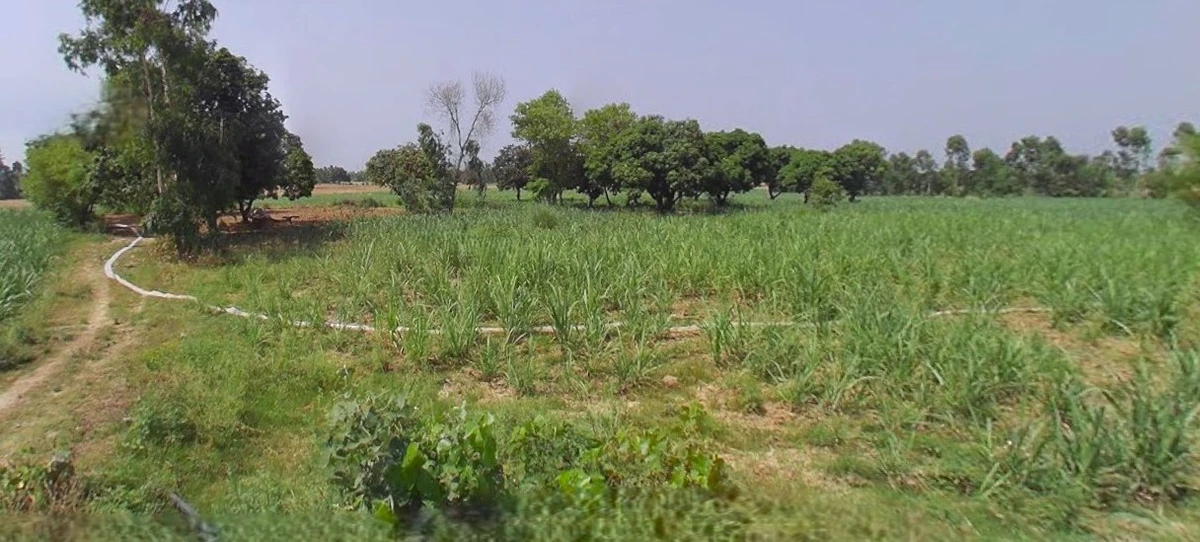 Bijnor, Uttar Pradesh 246701, India