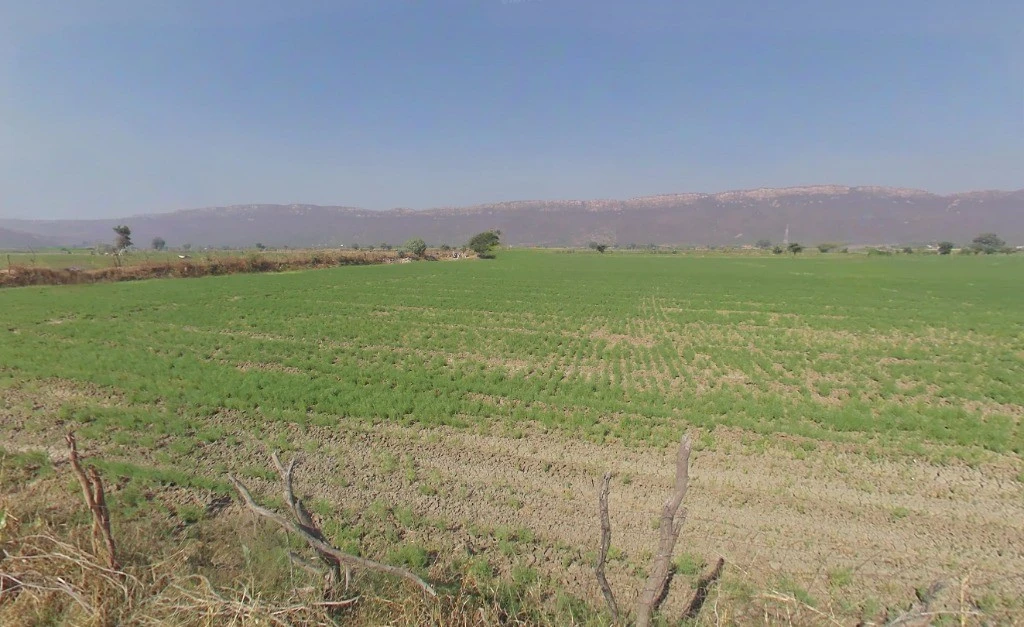 Birbira, Chhattisgarh 493441, India