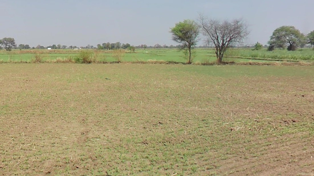 Hardob, Madhya Pradesh 464672, India