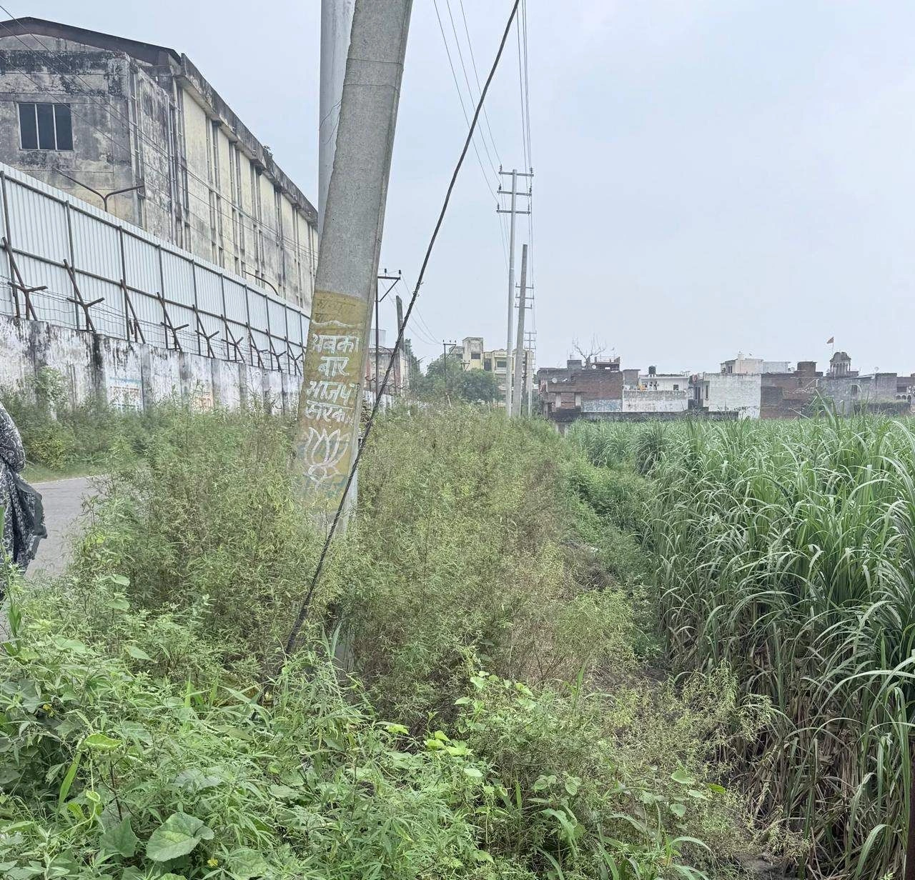 1289, Meerut, Nalanda Colony, Mawana, Uttar Pradesh 250401, India
