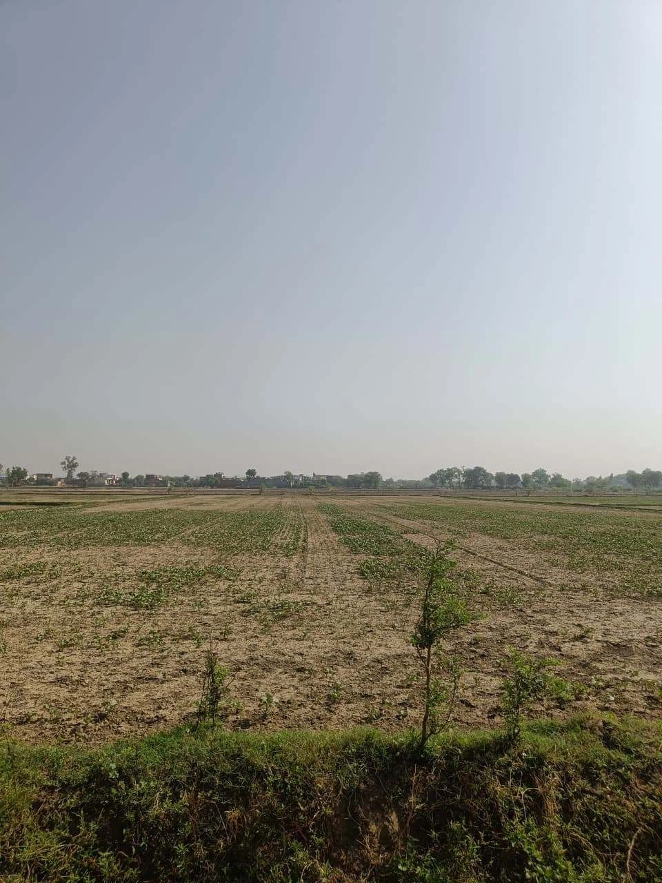 Ajhai Kalan, Uttar Pradesh 281406, India preview 2
