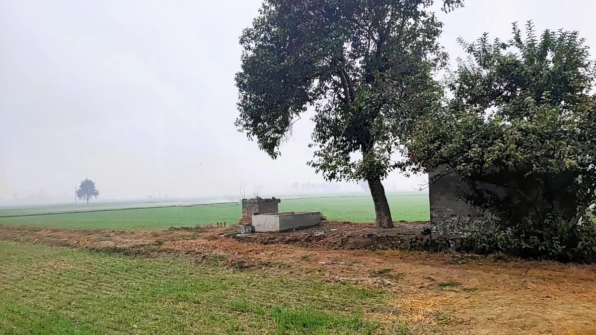 Rangrooti Khera, Haryana 132039, India