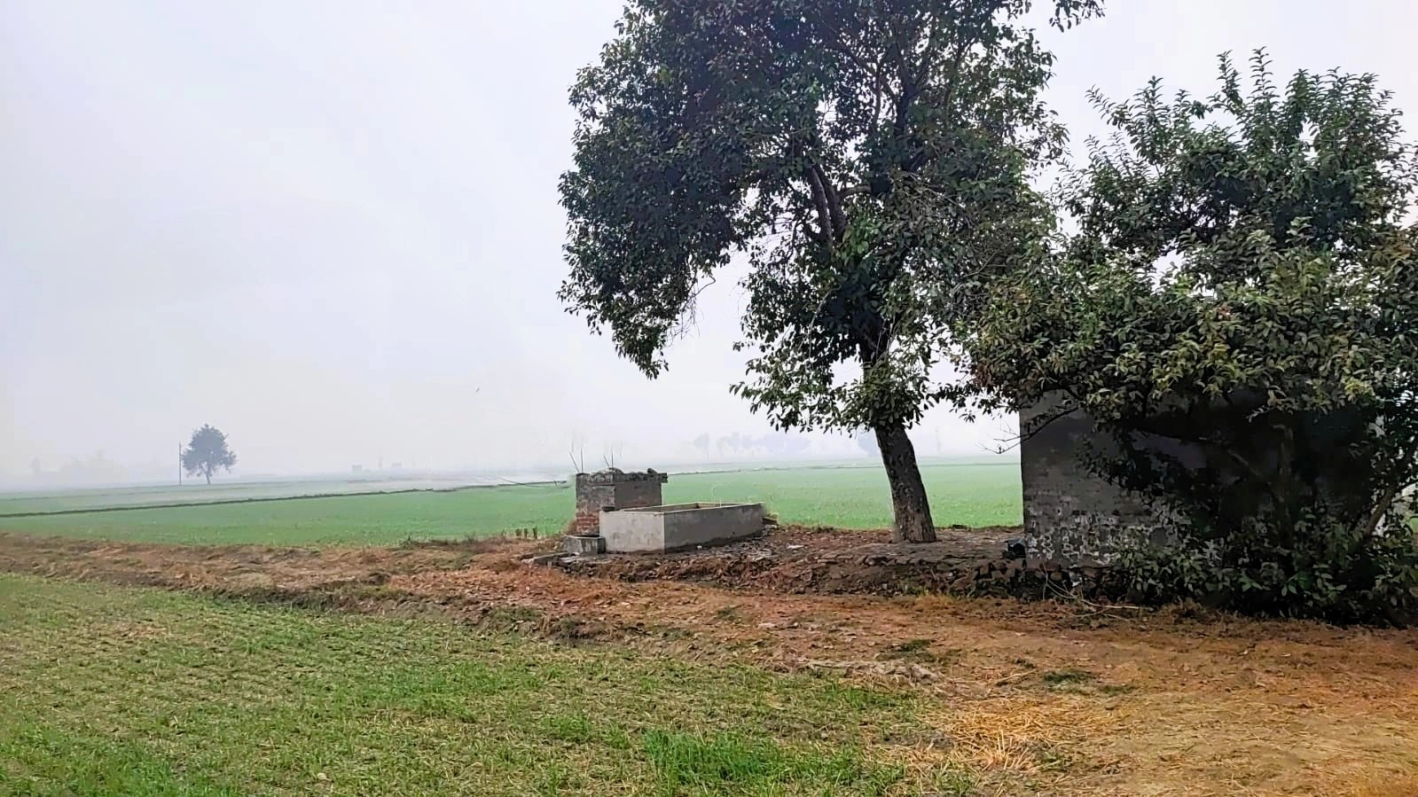 Rangrooti Khera, Haryana 132039, India